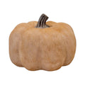 Pale Orange Medium Ceramic Pumpkin Ornament-0