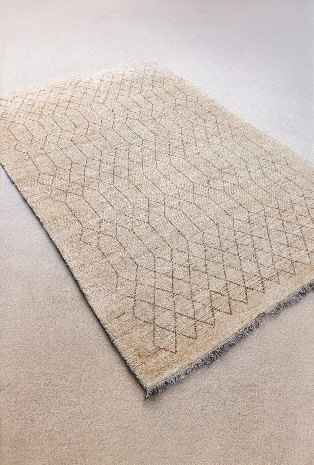 Bazm Hand Knotted Rug-3