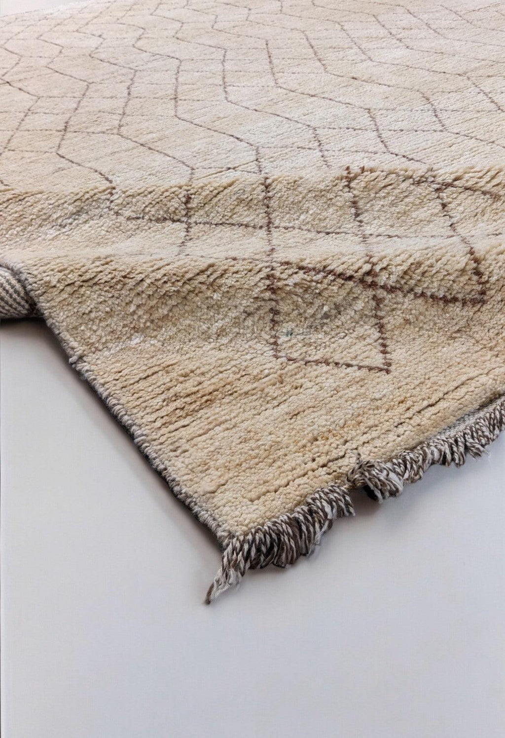 Bazm Hand Knotted Rug-1