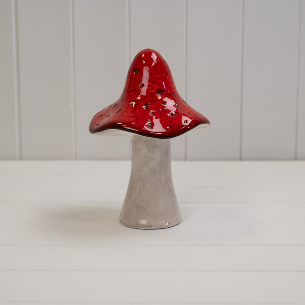 Ceramic Mushroom-1