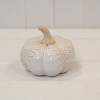 Large Natural Glazed Pumpkin with Oversized Leaves-1