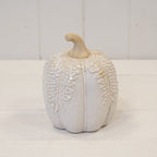Natural Glazed Taller Pumpkin with Oversized Leaves-1